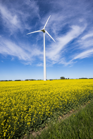 Windmolen groene energie 